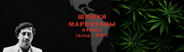 шишки Надым