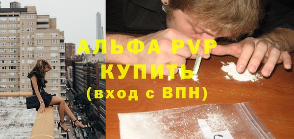 шишки Надым