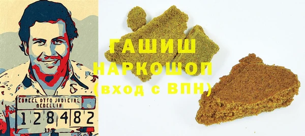 шишки Надым