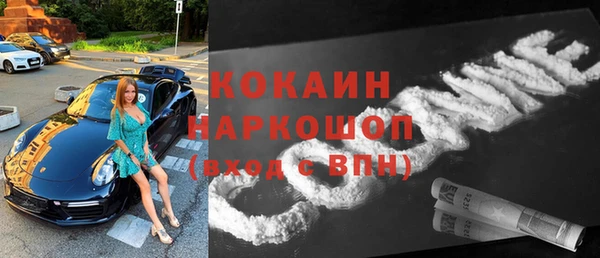 шишки Надым